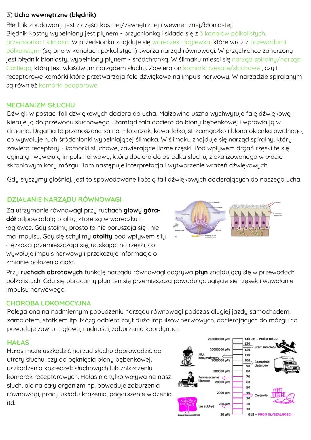 --- OCR Start ---
OKO
Oko jest narządem wzroku, umożliwia
widzenie barw i wyraźne widzenie
obiektów znajdujących się na różnej
odległości od