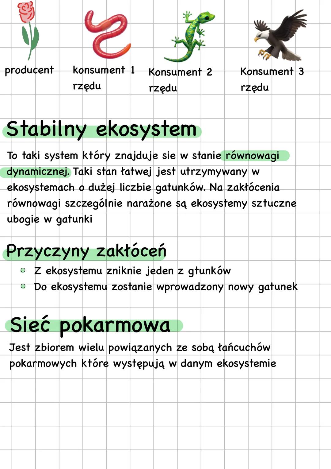 # Zależności
pokarmowe
Zależności pokarmowe - zależność w
której jeden organizm jest pokarmem
dla drugiego przez co tworzy się łańcuch
pok