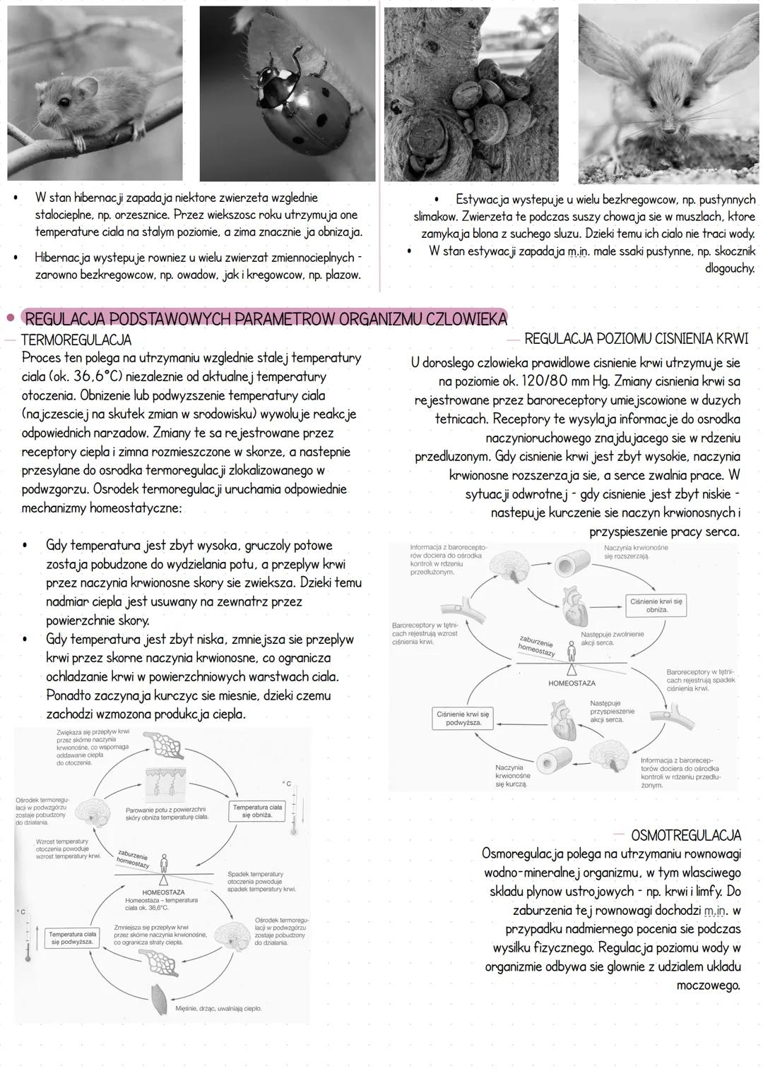 --- OCR Start ---
Miejsce ozlowieku w systemie klasyfikacji organizmow
• WPROWADZENIE
Czlowiek rozumny (Homo Sapiens) nalezy do krolestwa zw
