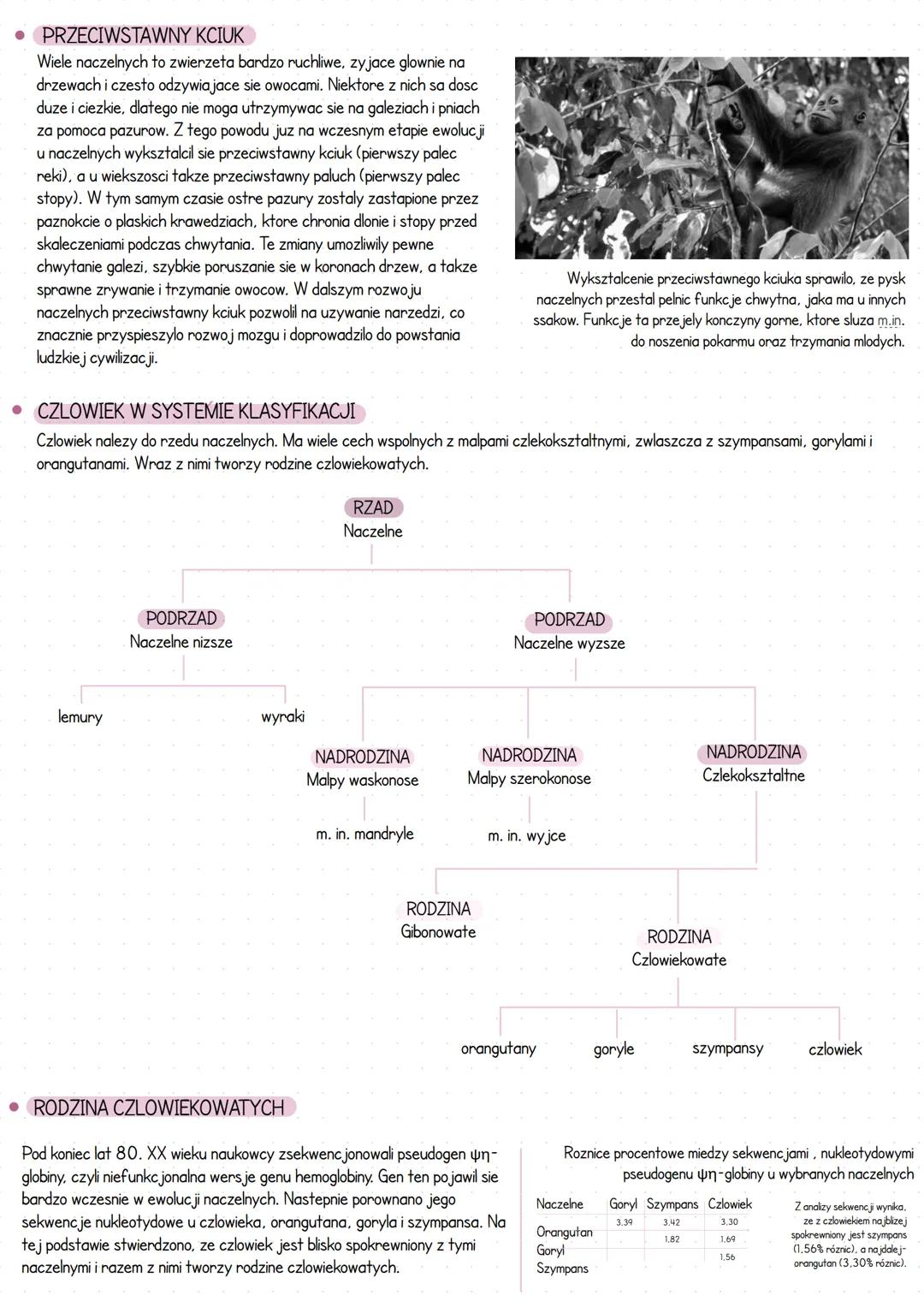 --- OCR Start ---
Miejsce ozlowieku w systemie klasyfikacji organizmow
• WPROWADZENIE
Czlowiek rozumny (Homo Sapiens) nalezy do krolestwa zw