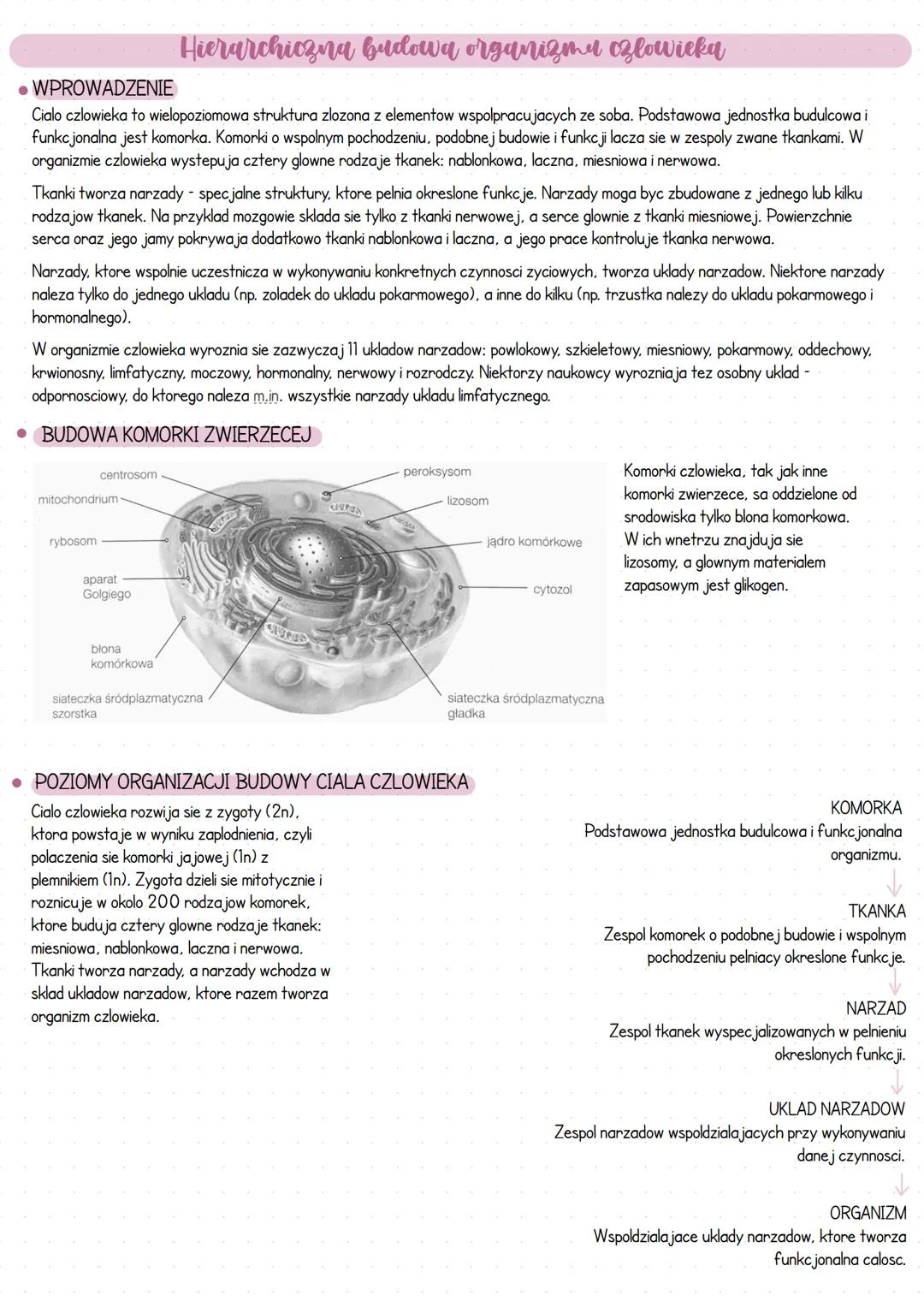 --- OCR Start ---
Miejsce ozlowieku w systemie klasyfikacji organizmow
• WPROWADZENIE
Czlowiek rozumny (Homo Sapiens) nalezy do krolestwa zw