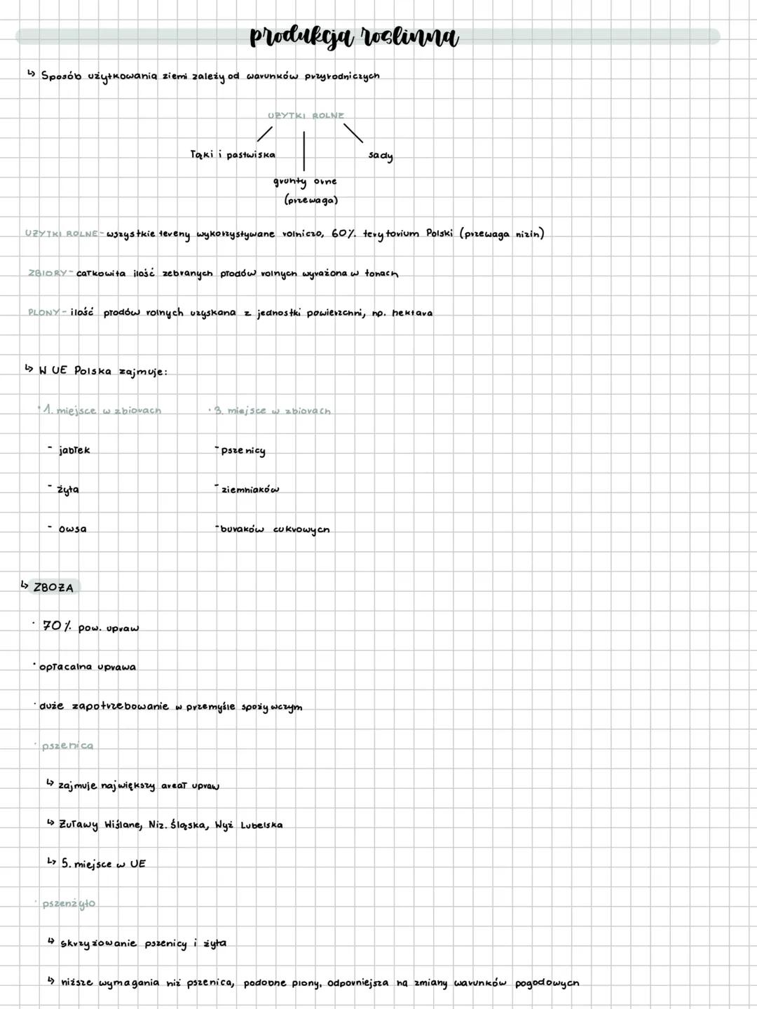 --- OCR Start ---
Produkcja roslinna
↳ Sposób użytkowania ziemi zależy od warunków przyrodniczych.
UBYTKI ROLNE
Tąki i pastwiska
sady
gronty