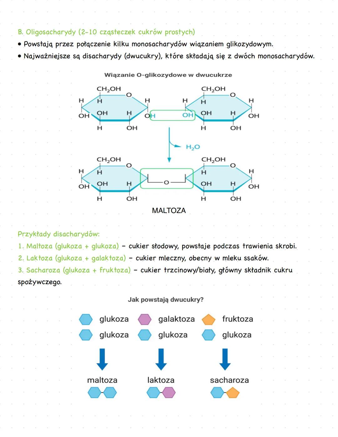 --- OCR Start ---
Węglowodany - budowa i znaczenie
biologiczne
Węglowodany (cukry, sacharydy) to organiczne związki chemiczne zbudowane z wę