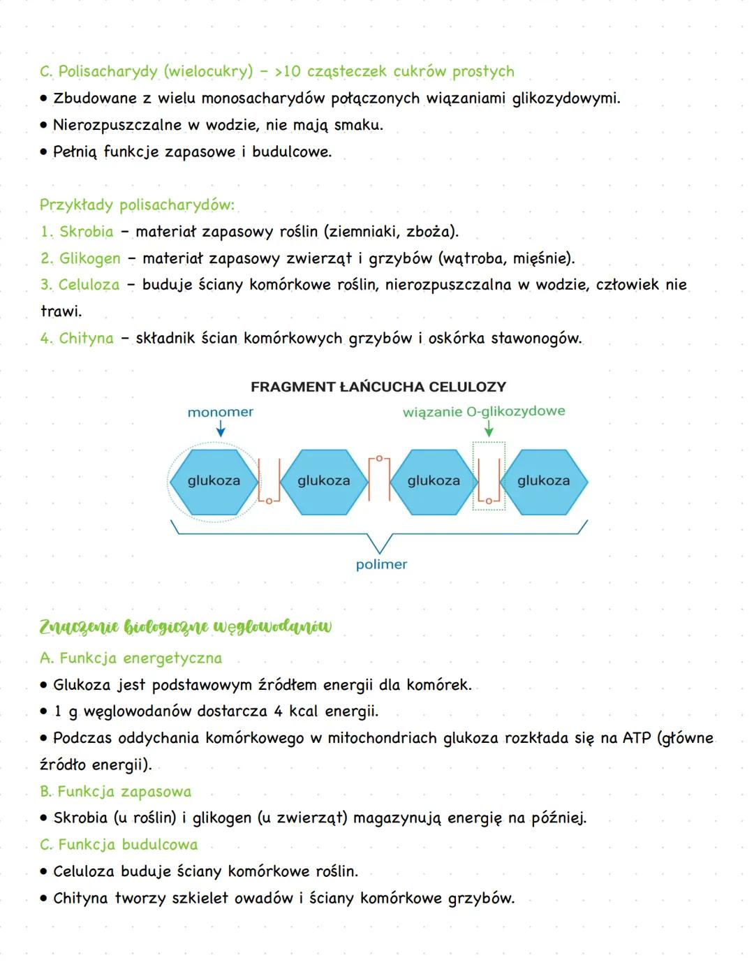 --- OCR Start ---
Węglowodany - budowa i znaczenie
biologiczne
Węglowodany (cukry, sacharydy) to organiczne związki chemiczne zbudowane z wę