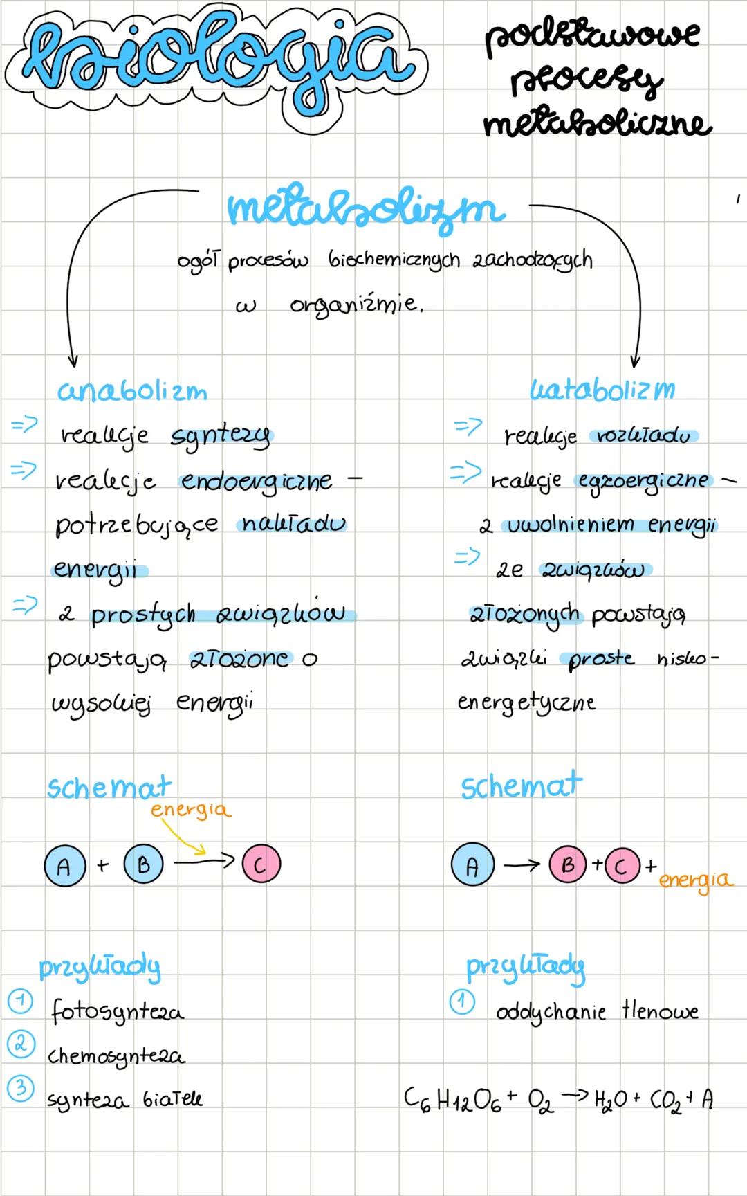 biologia
podstawowe
procesy
metaboliczne
metabolizm
ogół procesów biochemicznych zachodzących
w
organizmie.
anabolizm
=> reakcje syntezy
=>