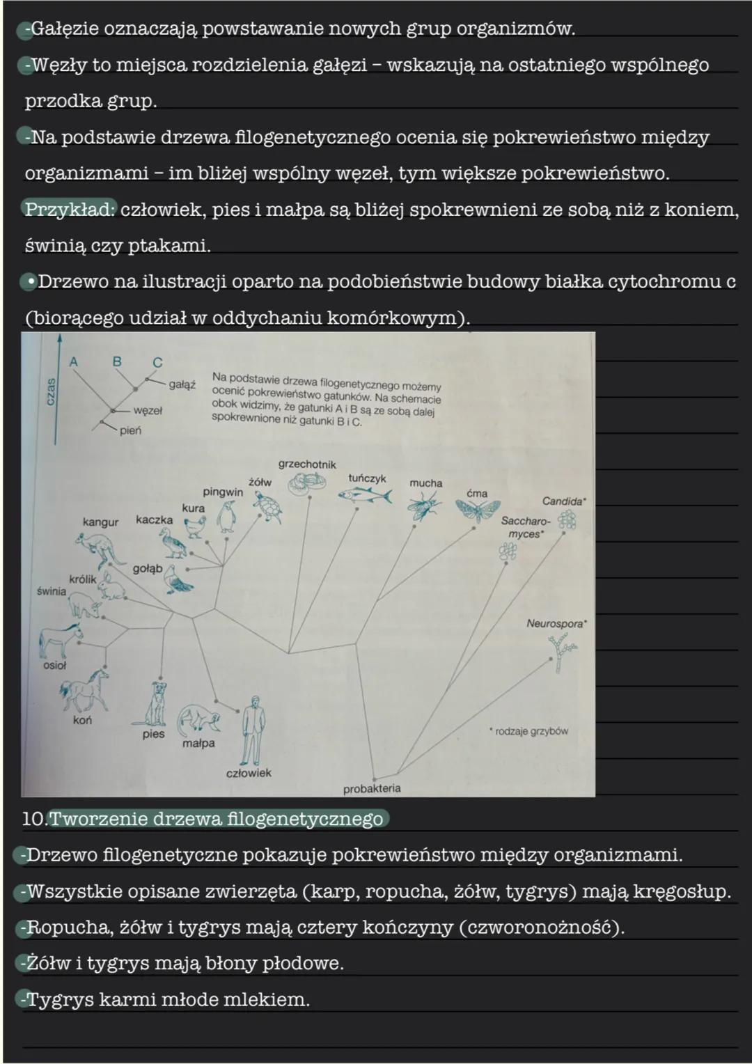 --- OCR Start ---
Źródła wiedzy o ewolucji
1. Ewolucja biologiczna jest to proces stopniowych, nieodwracalnych
zmian w grupach organizmów, p
