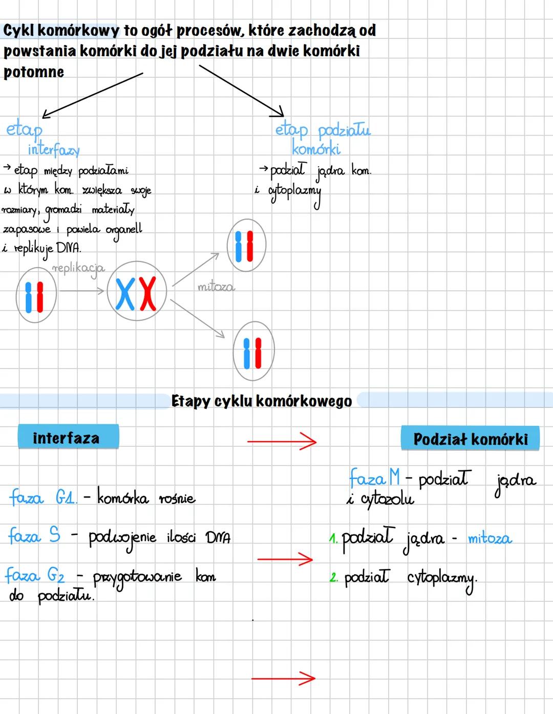 Komórka
BUDOWA KOMÓRKI
komórka - podstawowa jednostka strukturalna wszystkich
organizmów, zdolna do czynności życiowych
x jądrem
komórkowym