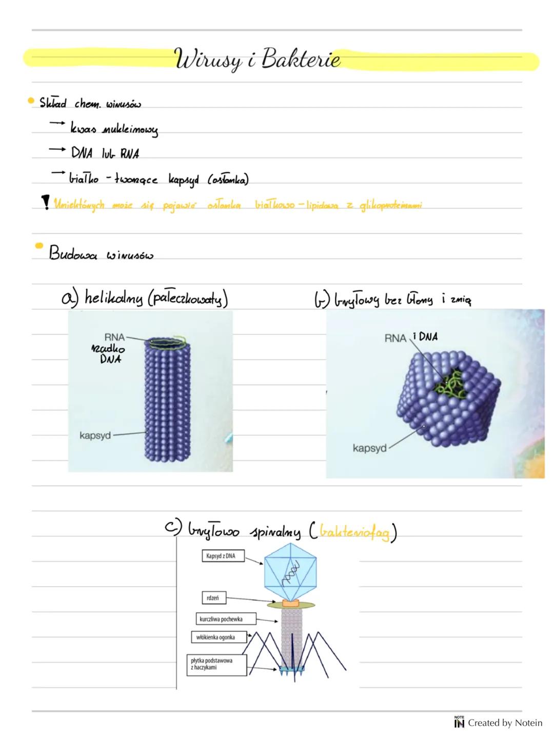 In a world you know
nothing,there will be surprises if
you go on
IN Created by Notein --- OCR Start ---
Sklad chem. winusów
Wirusy i Bakteri