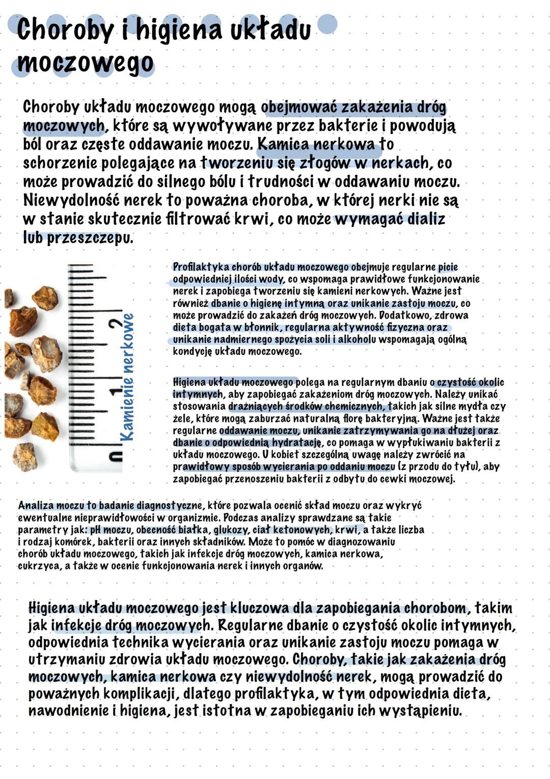 Układ moczowy
Układ moczowy:
•Odgrywa najważniejszą role w procesie
wydalania
•Odpowiada za utrzymanie stałego składu
płynów w organizmie
Uk