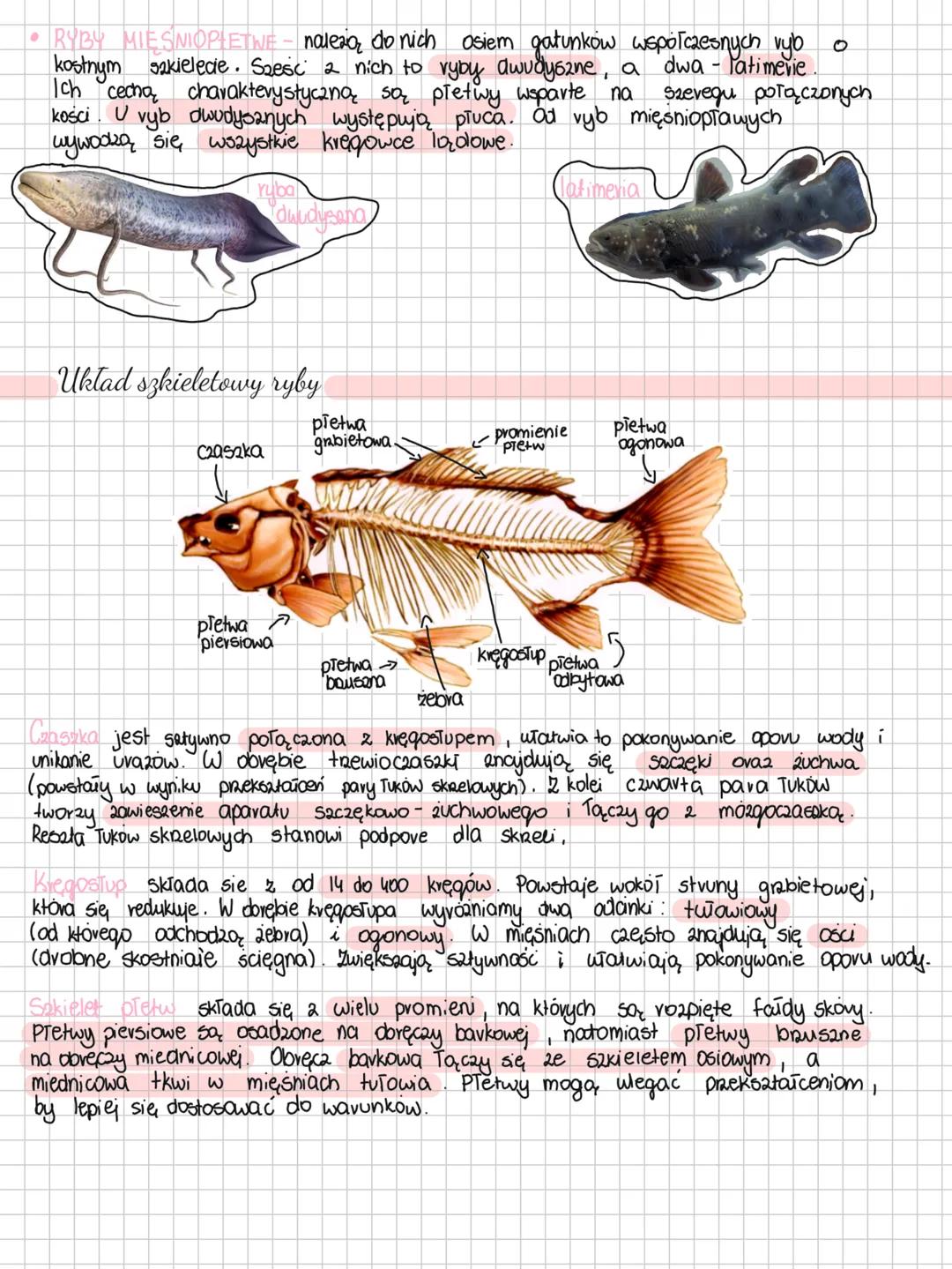 Ryby
Ryby są kręgowcami pierwotnie wodnymi. Zasiedlają wody słodkie oraz słone.
Są gatunki ryb, które potrafią przez pewien czas przebywać p