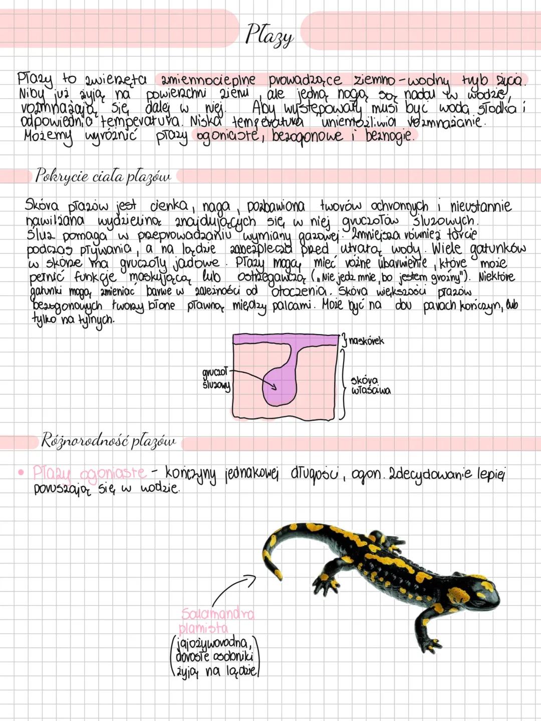 Płazy- kręgowce dwuśrodowiskowe