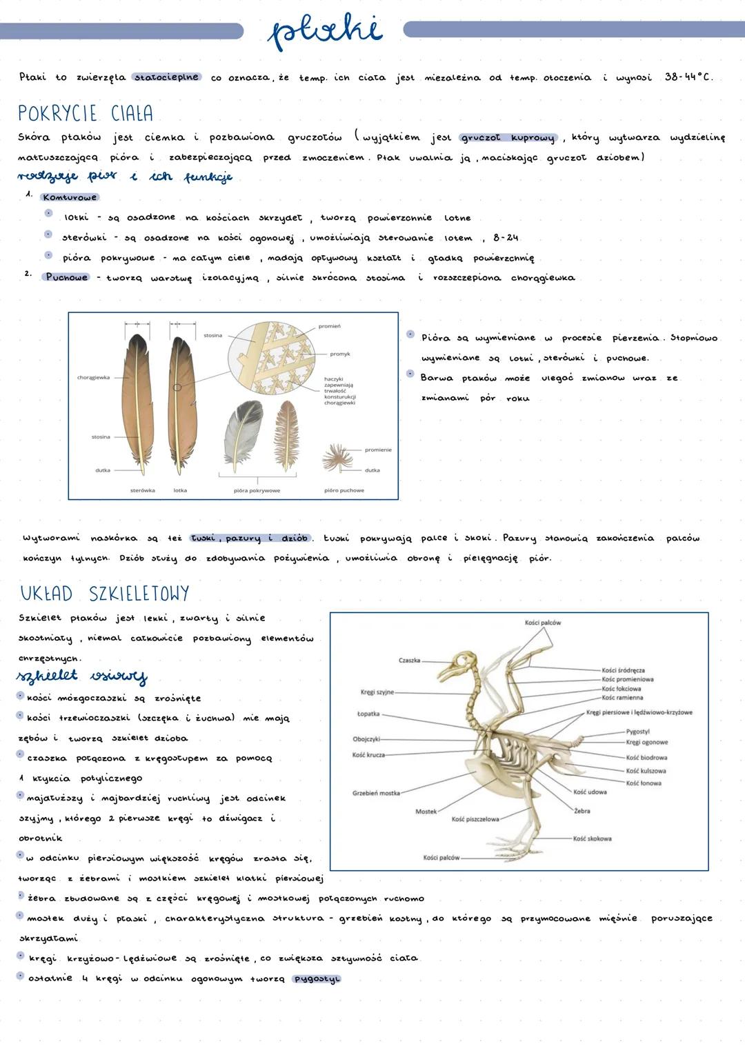 Ptaki - latające zwierzęta pokryte piórami