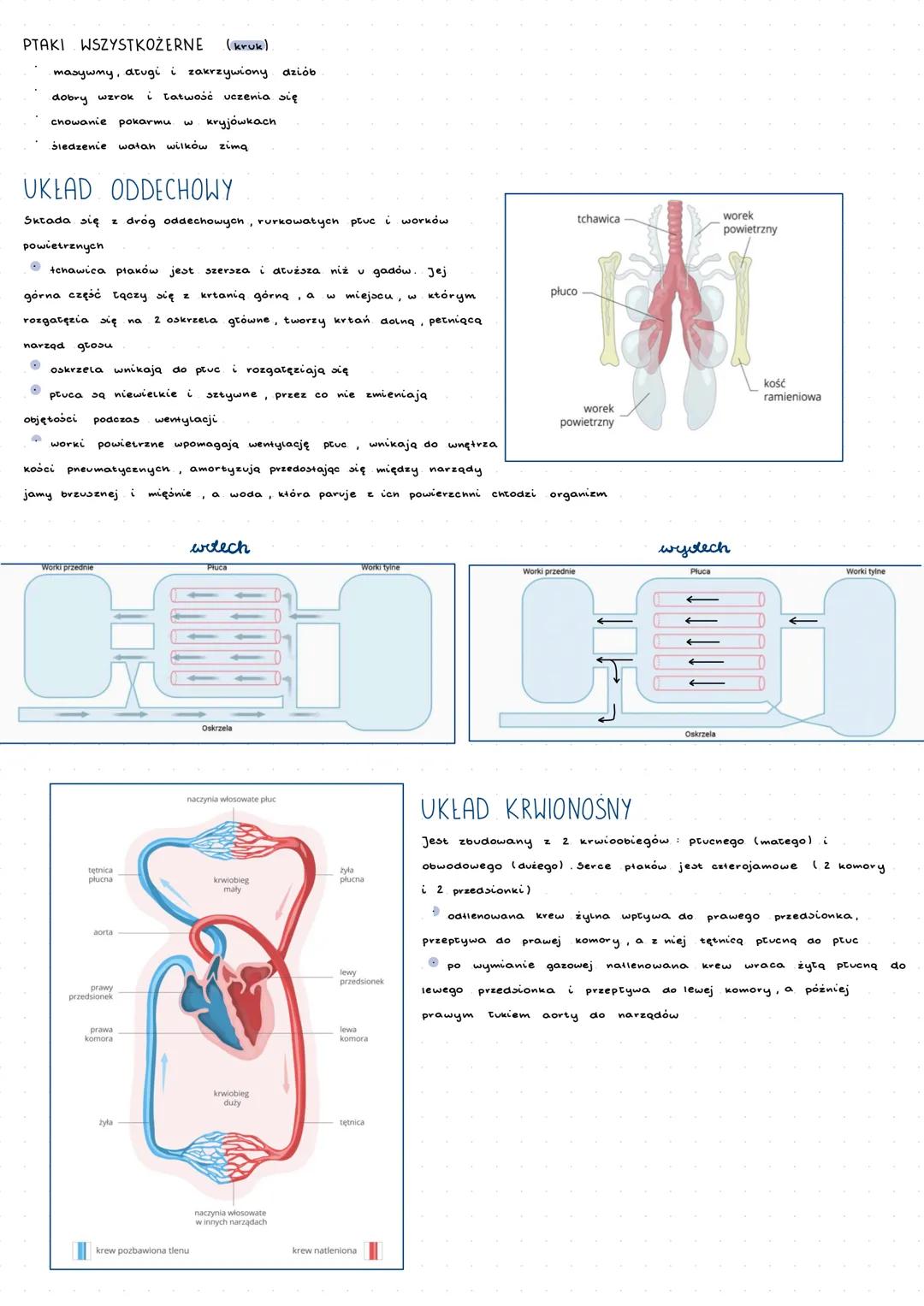 --- OCR Start ---
plaki
Ptaki to zwierzęta statocieplne co oznacza, że temp. ich ciata jest niezależna od temp. otoczenia i wynosi 38-44°C.