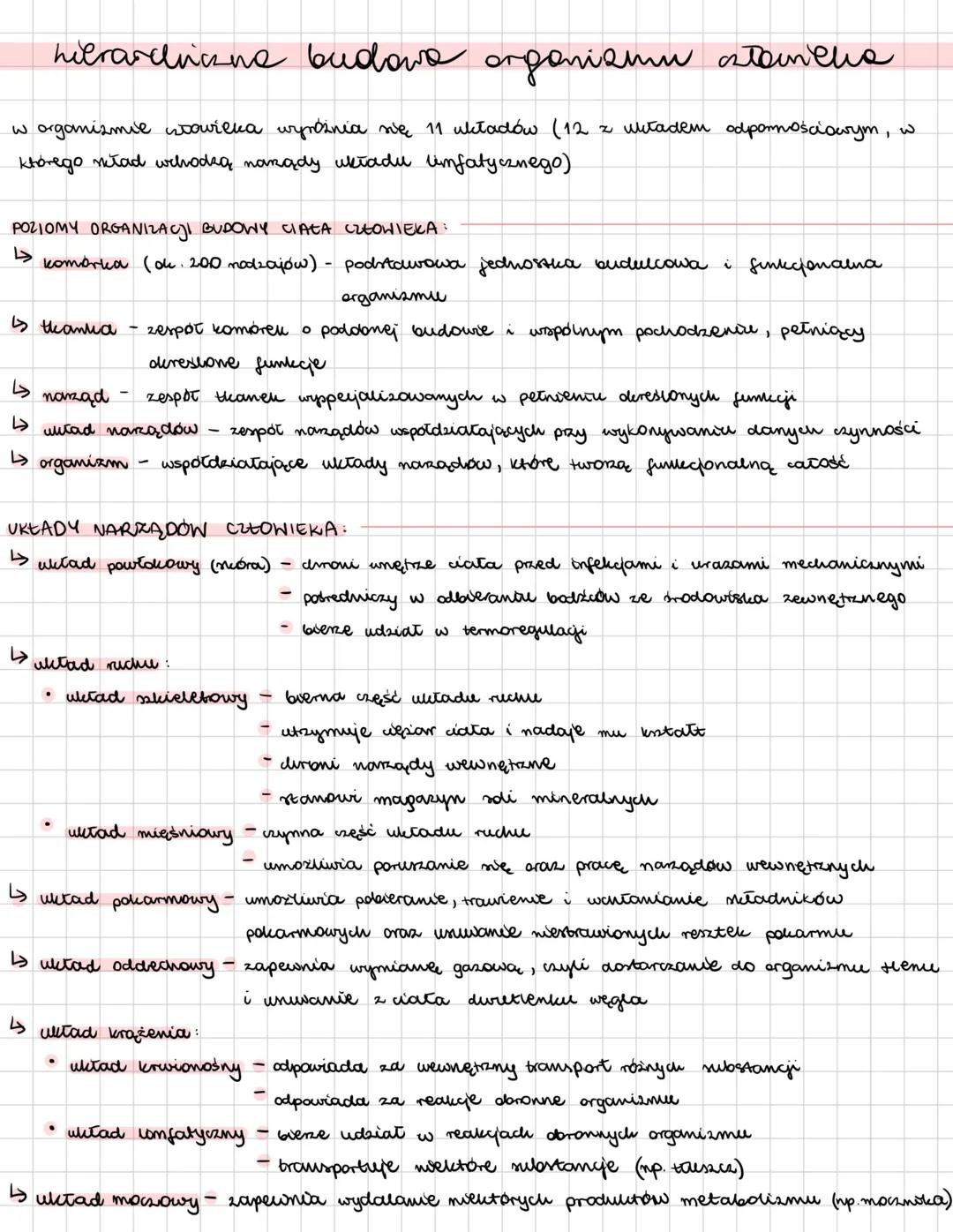 # CZŁOWIEK
## miejsce człowieka w systemie klasyfikacji organizmów
| TAKSON | CHARAKTERYSTYKA |
|---|---| 
| królestwo : zwierzęta | organ