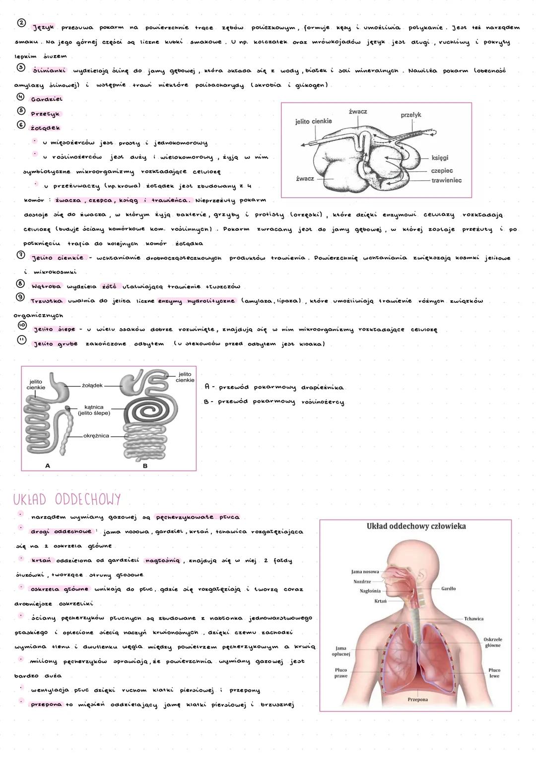 ---
ssaki
Ssaki są zwierzętami statocieplnymi, dzięki czemu
znacznie się od temp. otoczenia. Współcześnie
dzielimy je na prassaki, ssaki niż