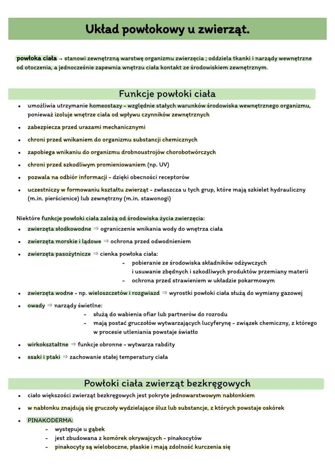 Układ powłokowy u zwierząt.