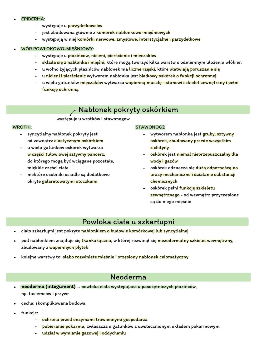 Układ powłokowy u zwierząt.
powłoka ciała - stanowi zewnętrzną warstwę organizmu zwierzęcia; oddziela tkanki i narządy wewnętrzne
od otoczen