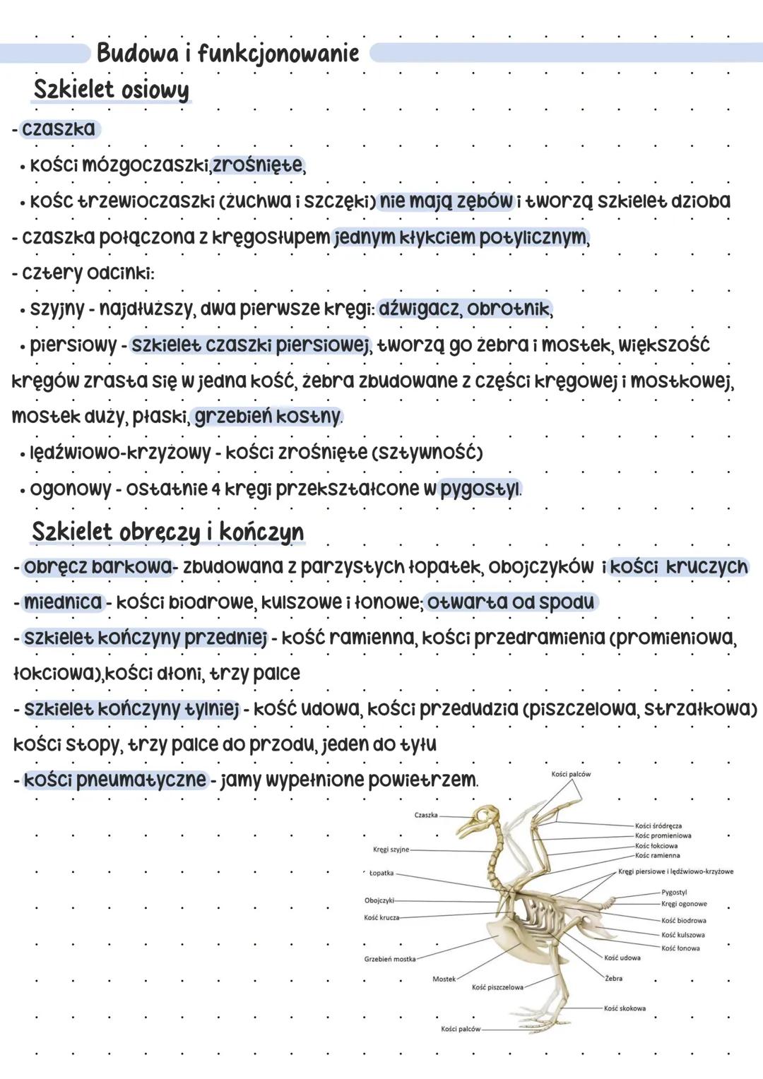 --- OCR Start ---
Plaki
Pokrycie ciała
skóra cienka, jedynym gruczołem jest - gruczoł kuprowy.
Gruczoł kuprowy -> wytwarza wydzielinę natłus