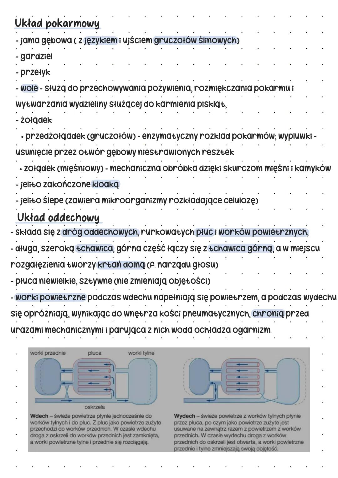 --- OCR Start ---
Plaki
Pokrycie ciała
skóra cienka, jedynym gruczołem jest - gruczoł kuprowy.
Gruczoł kuprowy -> wytwarza wydzielinę natłus
