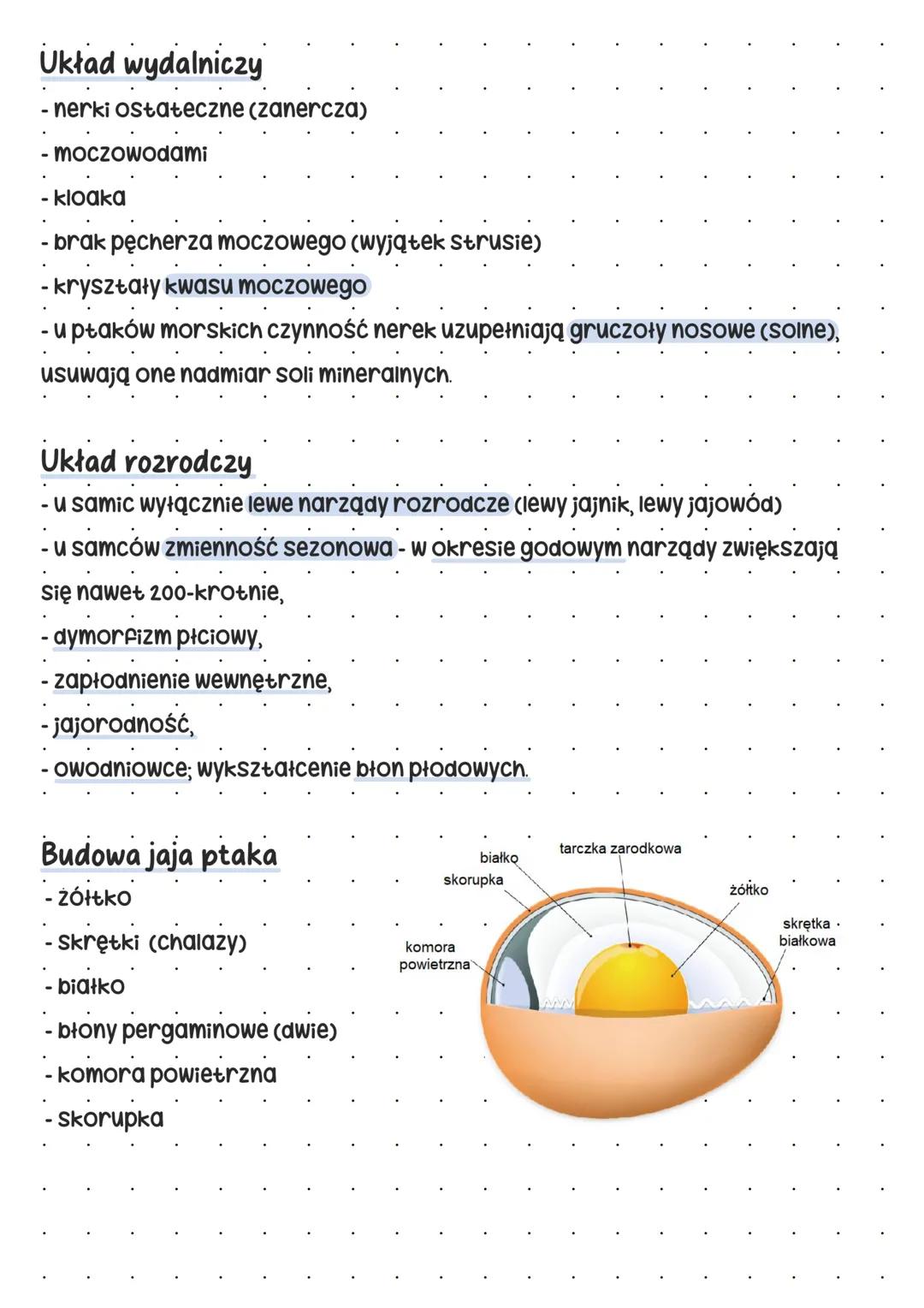 --- OCR Start ---
Plaki
Pokrycie ciała
skóra cienka, jedynym gruczołem jest - gruczoł kuprowy.
Gruczoł kuprowy -> wytwarza wydzielinę natłus
