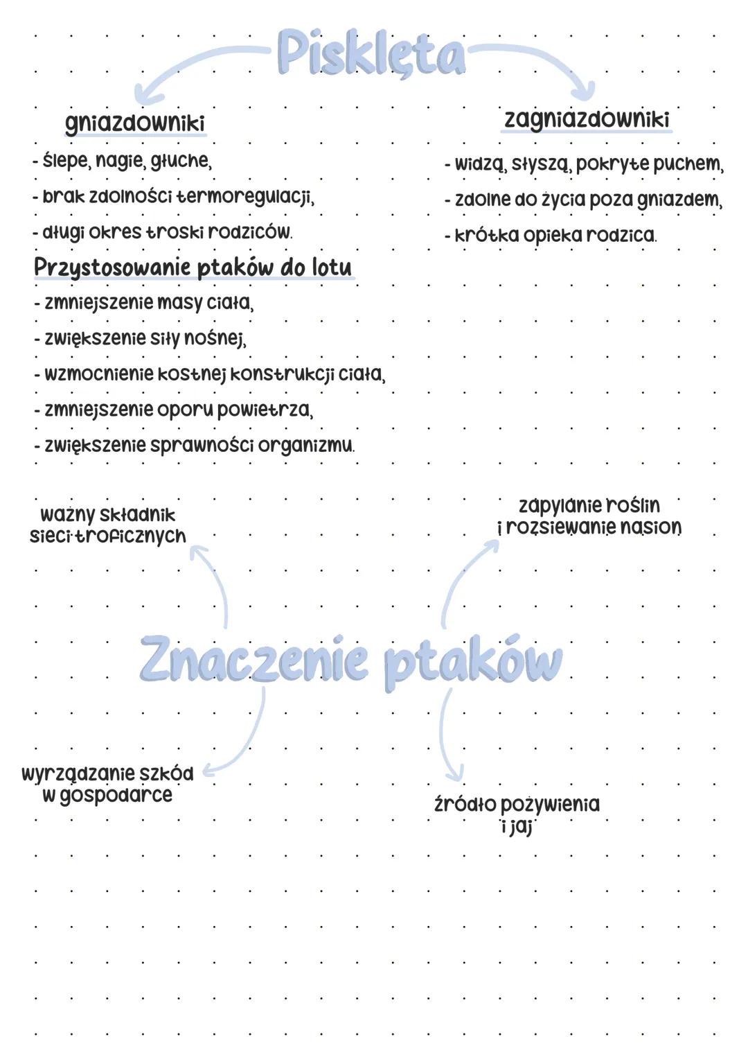 --- OCR Start ---
Plaki
Pokrycie ciała
skóra cienka, jedynym gruczołem jest - gruczoł kuprowy.
Gruczoł kuprowy -> wytwarza wydzielinę natłus