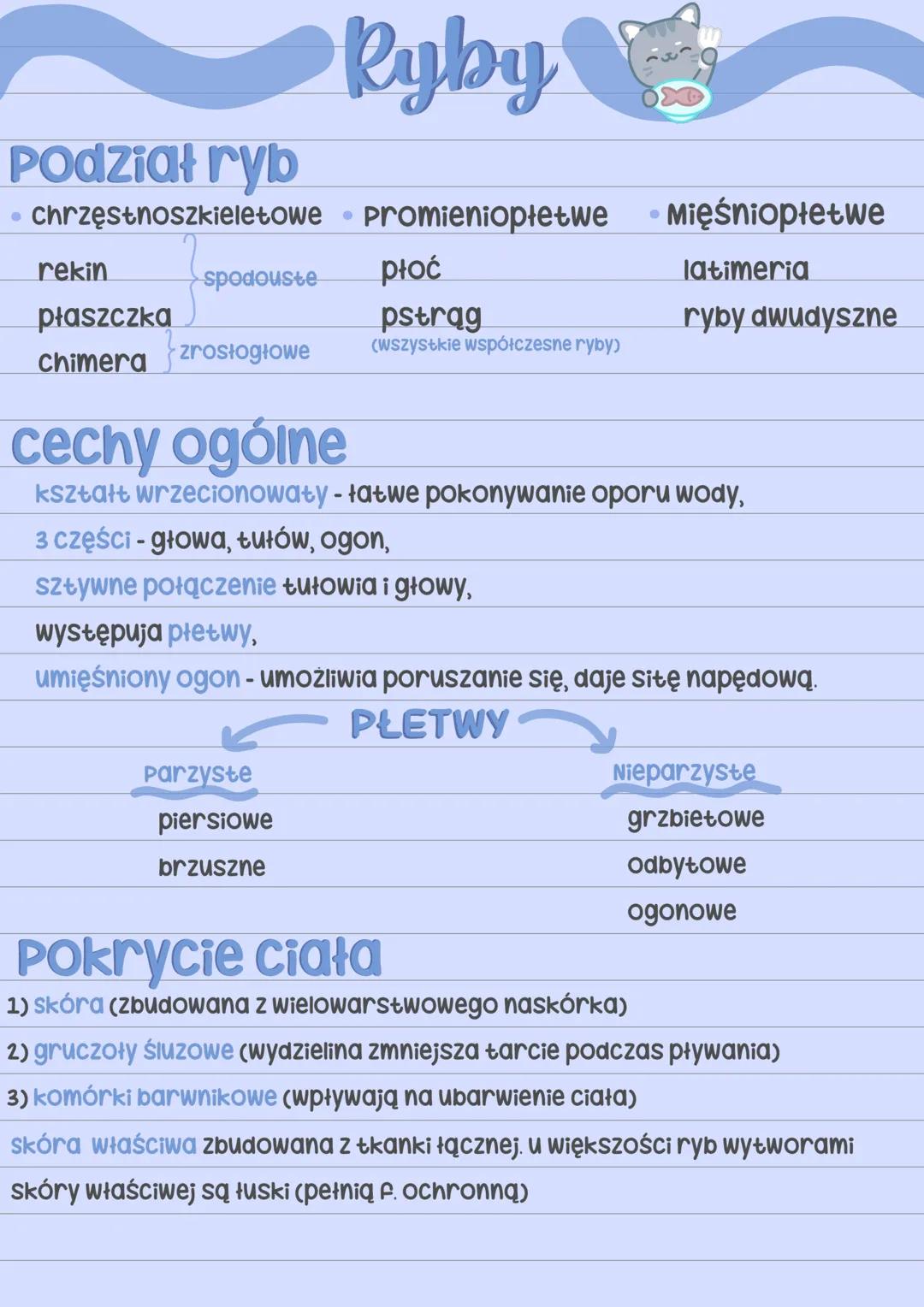 Podział ryb
Ryby
⚫ chrzęstnoszkieletowe • Promieniopłetwe
rekin
spodouste
płoć
• Mięśniopłetwe
płaszczka
latimeria
chimera zrosłogłowe
pstrą