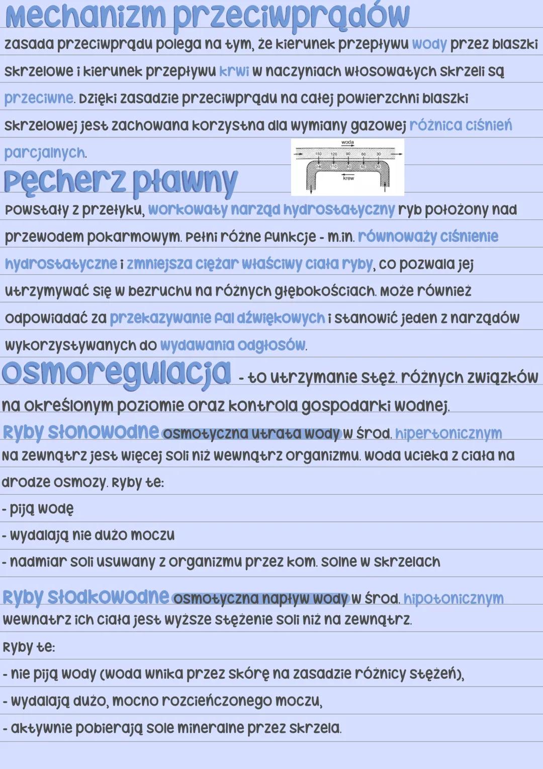 Podział ryb
Ryby
⚫ chrzęstnoszkieletowe • Promieniopłetwe
rekin
spodouste
płoć
• Mięśniopłetwe
płaszczka
latimeria
chimera zrosłogłowe
pstrą