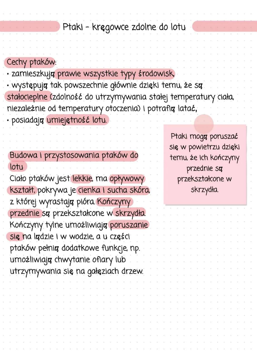 Ptaki - kręgowce zdolne do lotu