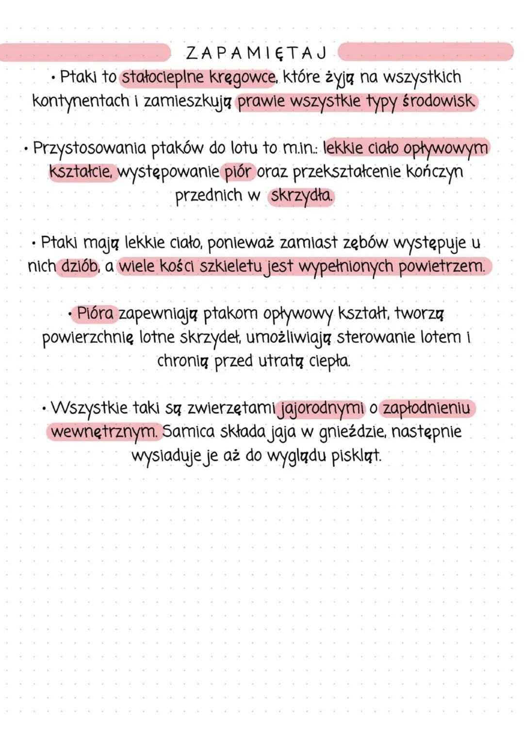 # Ptaki - kręgowce zdolne do lotu
## Cechy ptaków:
* zamieszkują prawie wszystkie typy środowisk
* występują tak powszechnie głównie dzięk