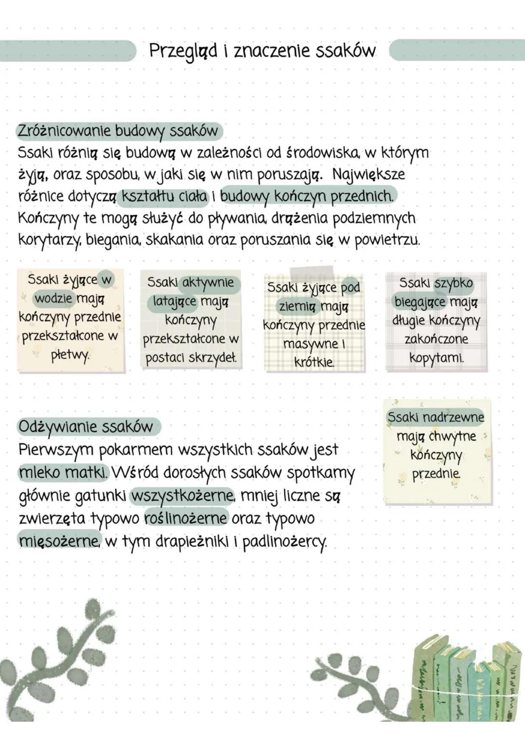 Przegląd i znaczenie ssaków
Zróżnicowanie budowy ssaków
Ssaki różnią się budową w zależności od środowiska, w którym
żyją, oraz sposobu, w j