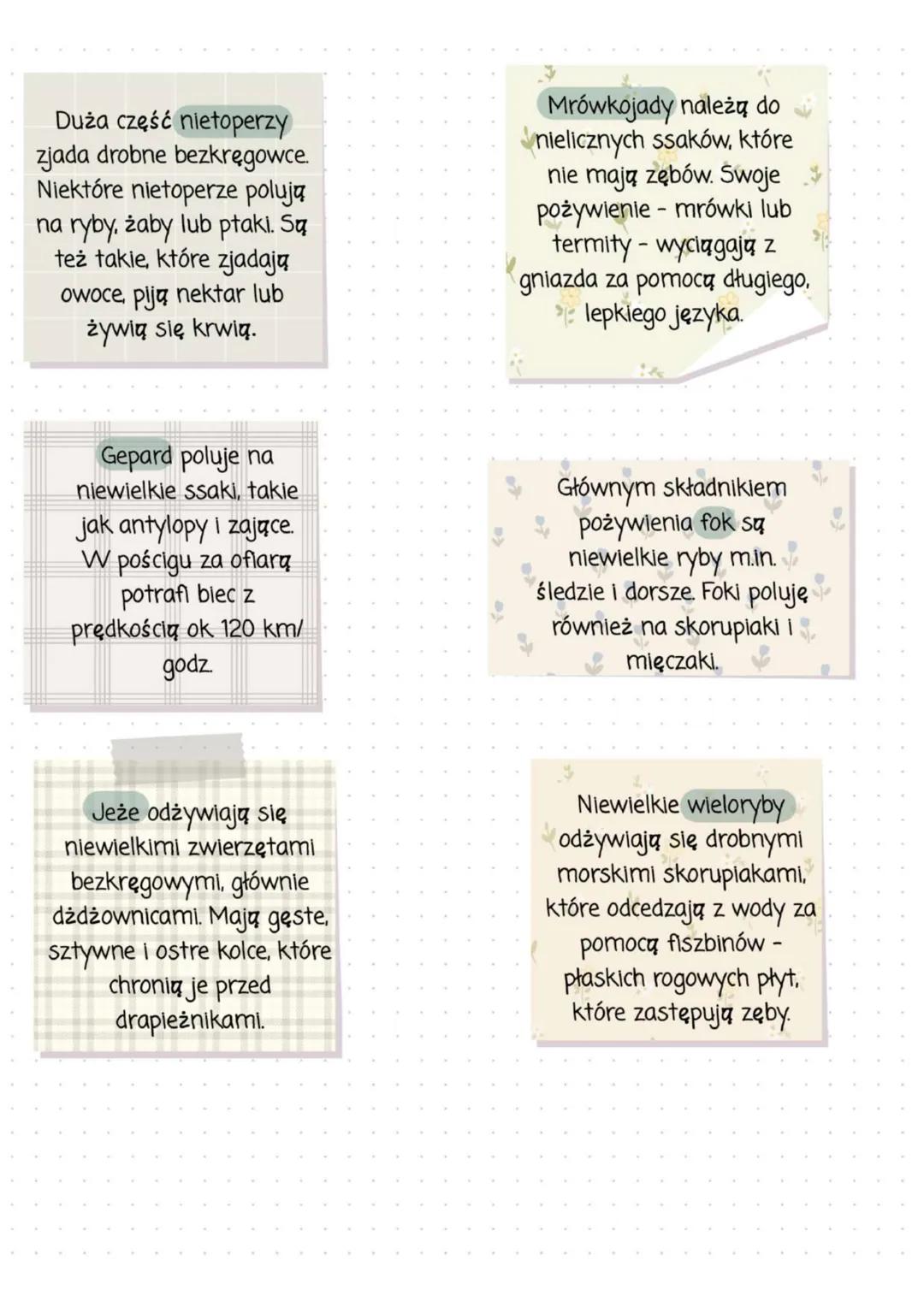 Przegląd i znaczenie ssaków
Zróżnicowanie budowy ssaków
Ssaki różnią się budową w zależności od środowiska, w którym
żyją, oraz sposobu, w j