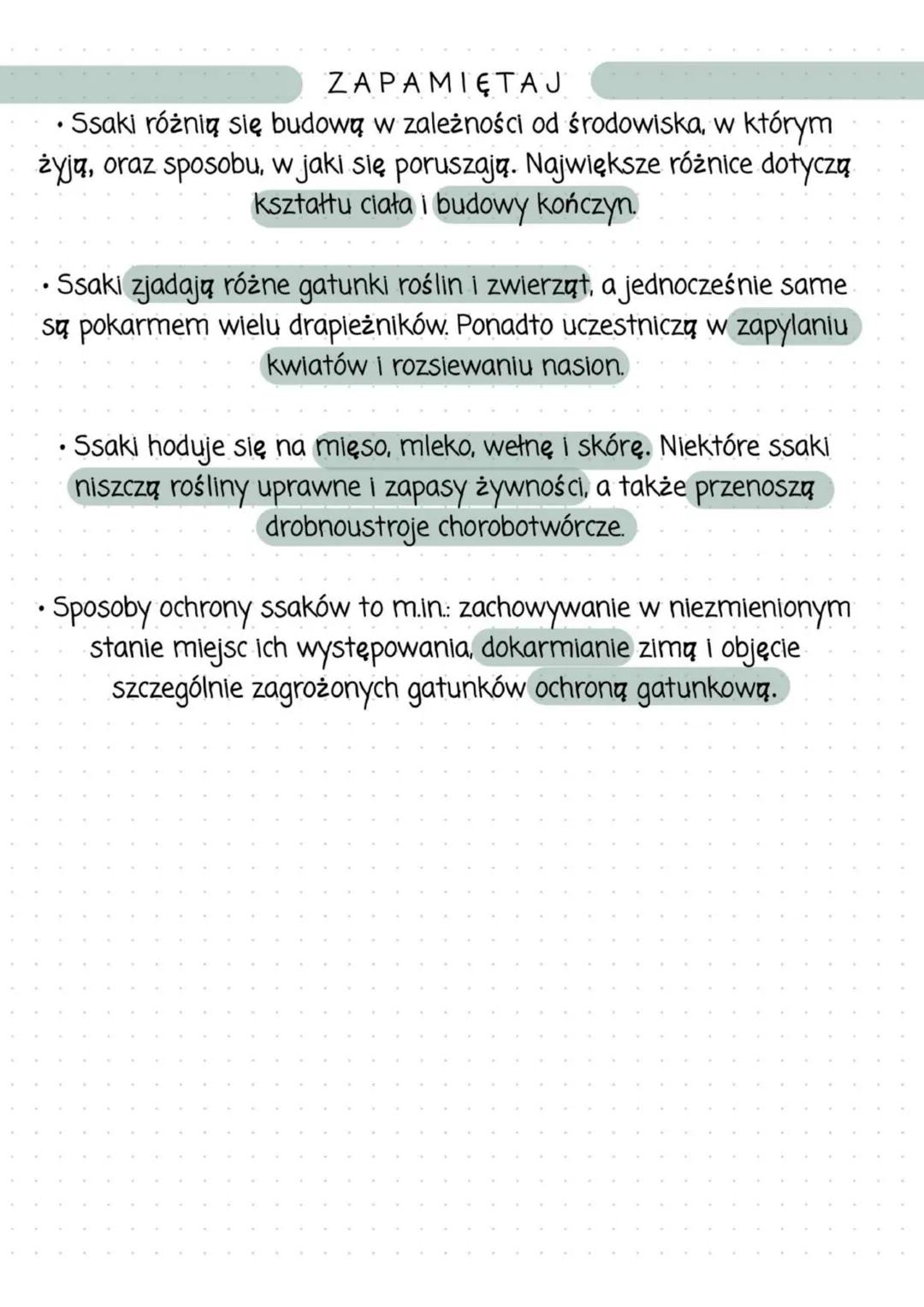 Przegląd i znaczenie ssaków
Zróżnicowanie budowy ssaków
Ssaki różnią się budową w zależności od środowiska, w którym
żyją, oraz sposobu, w j