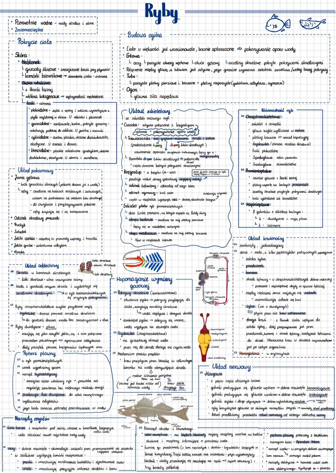 --- OCR Start ---
Pierwotnie wodne wody slodkie i store
Zmiennocieplne
Pokrycie ciała
Skóra
Nabłonek
gruczoły śluzowe - zmniejszanie tarcia