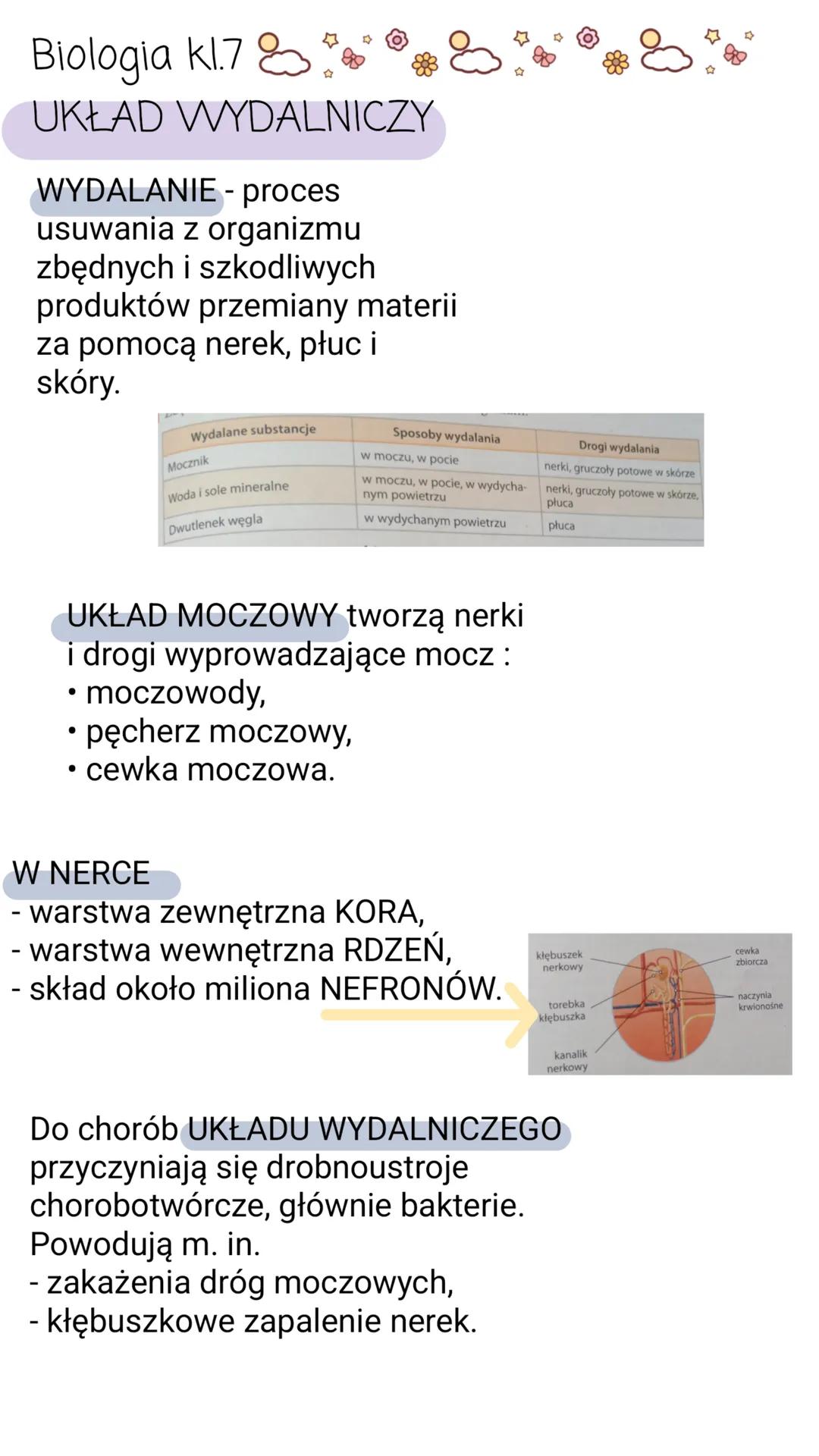 Biologia kl.7
UKŁAD WYDALNICZY
WYDALANIE - proces
usuwania z organizmu
zbędnych i szkodliwych
produktów przemiany materii
za pomocą nerek, p
