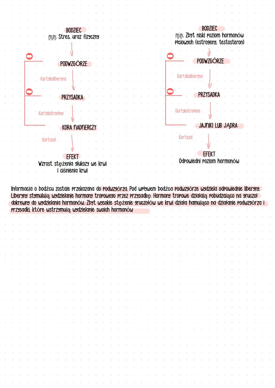 ## Gruczoły
---
WEWNĄTRZWYDZIELNICZE
(GRUCZOŁY DOKREWNE)
ZEWNATRZWYDZIELNICZE..
gruczol
EQ20cyto20.
naczynia krwionośne
wydzielają hormony