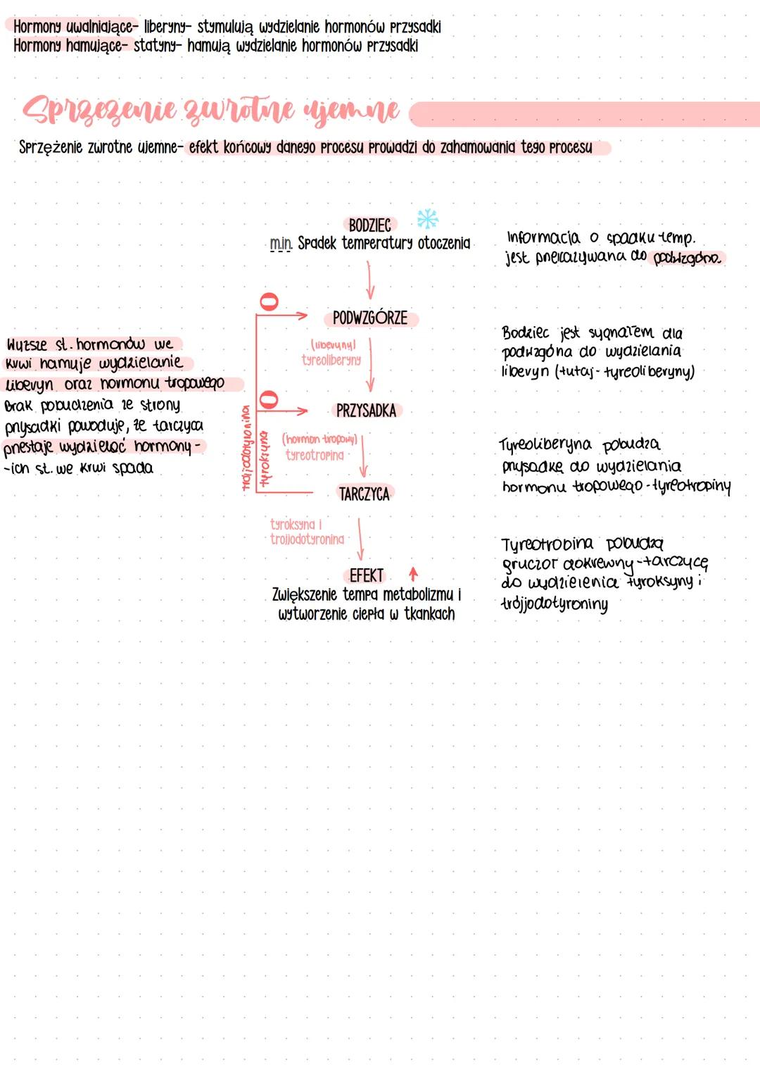 ## Gruczoły
---
WEWNĄTRZWYDZIELNICZE
(GRUCZOŁY DOKREWNE)
ZEWNATRZWYDZIELNICZE..
gruczol
EQ20cyto20.
naczynia krwionośne
wydzielają hormony
