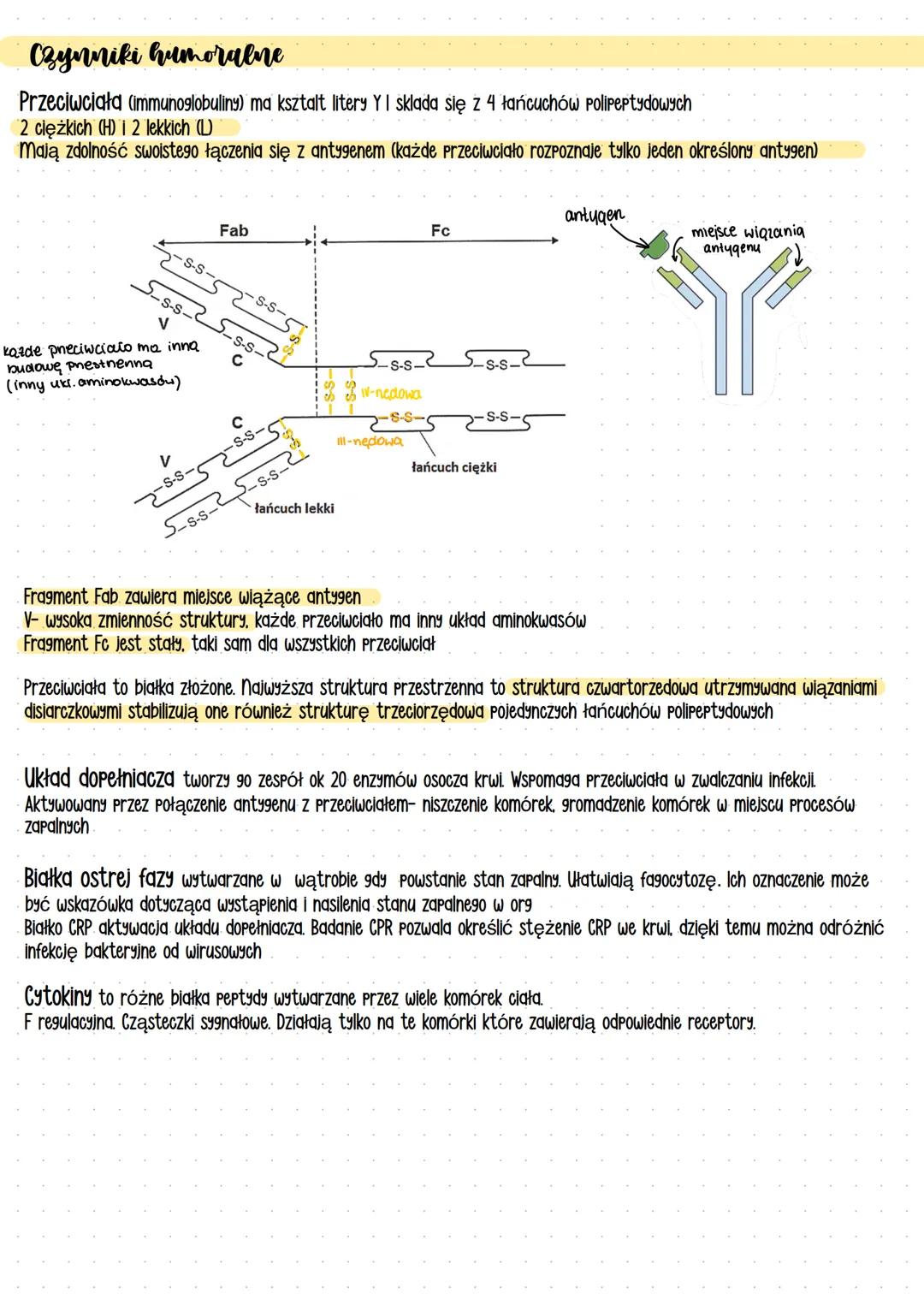 # Układ odpornościowy
## Przeciwciała - białka odpornościowe- immunoglobuliny produkowane przez limfocyty B w odpowiedzi na antygeny
## Pat