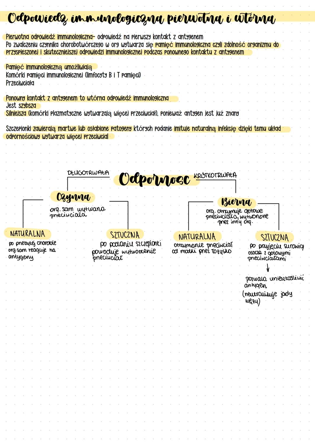 # Układ odpornościowy
## Przeciwciała - białka odpornościowe- immunoglobuliny produkowane przez limfocyty B w odpowiedzi na antygeny
## Pat