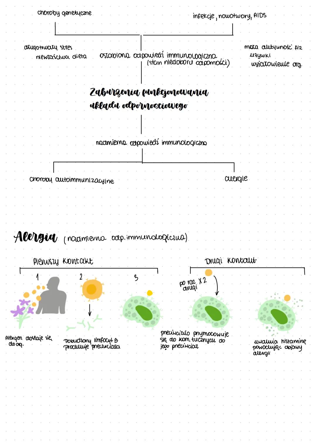 # Układ odpornościowy
## Przeciwciała - białka odpornościowe- immunoglobuliny produkowane przez limfocyty B w odpowiedzi na antygeny
## Pat
