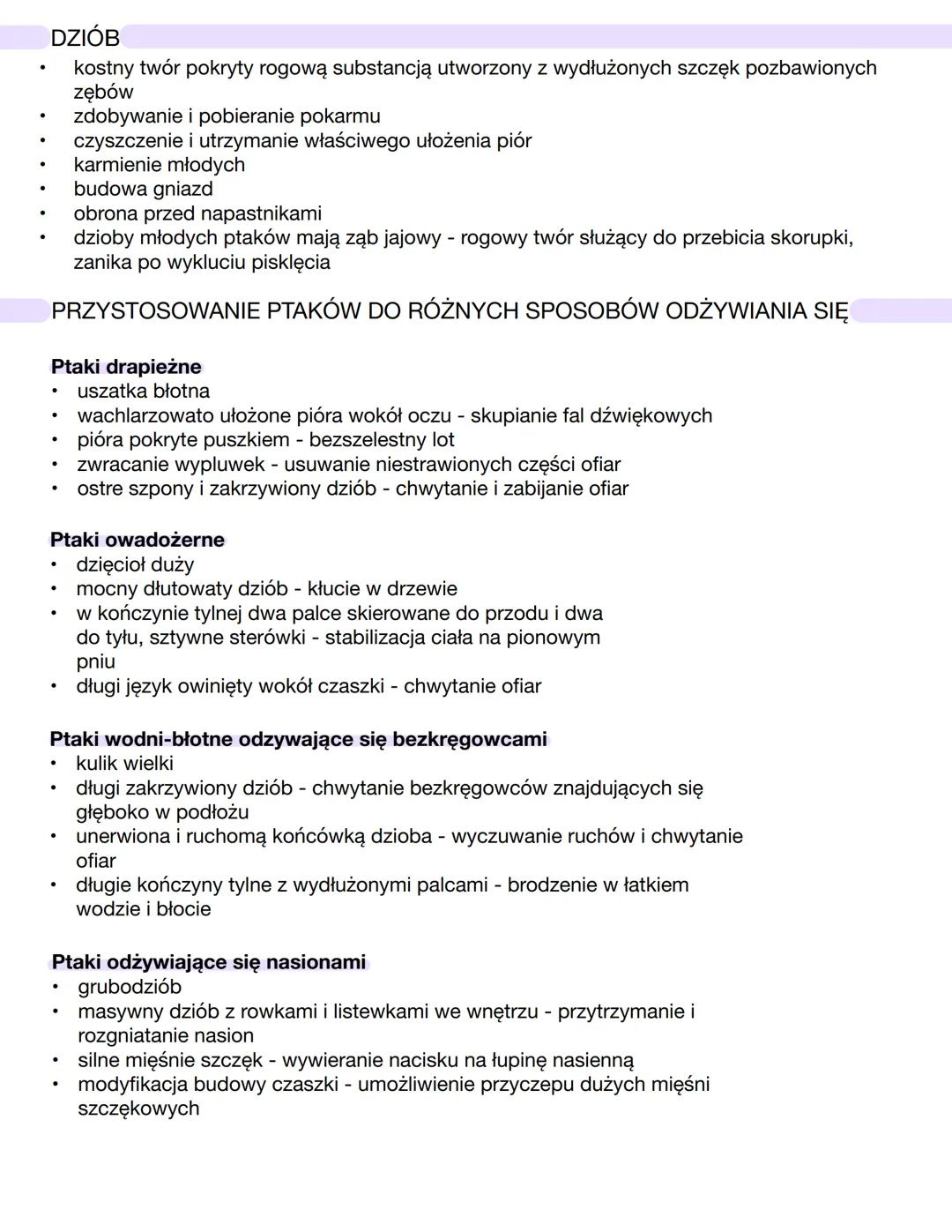 CHARAKTERYSTYKA PTAKÓW
żuchwowce i owodniowce
pierwotnie lądowe
stałocieplne
większość przystosowana do aktywnego lotu
jajorodne
czaszka poł