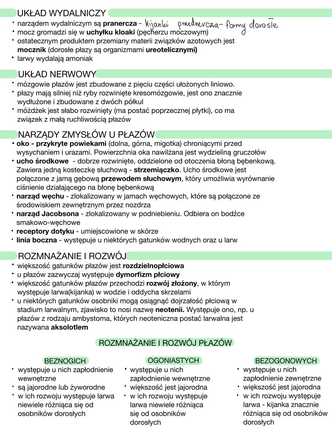 CECHY CHARAKTERYSTYCZNE PŁAZÓW
należą do żuchwowców i bezowodniowców
prowadzą wodno-lądowy tryb życia
oddychają płucami
są zmiennocieplne (h