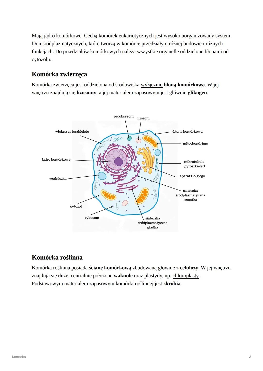 --- OCR Start ---
Komórka
Komórka
Komórka - najmniejsza część organizmu zdolna do przeprowadzania czynności życiowych
Poziomy organizacji ko