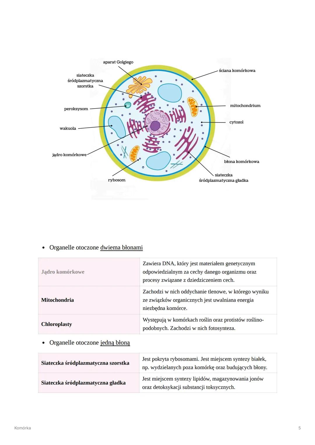 --- OCR Start ---
Komórka
Komórka
Komórka - najmniejsza część organizmu zdolna do przeprowadzania czynności życiowych
Poziomy organizacji ko