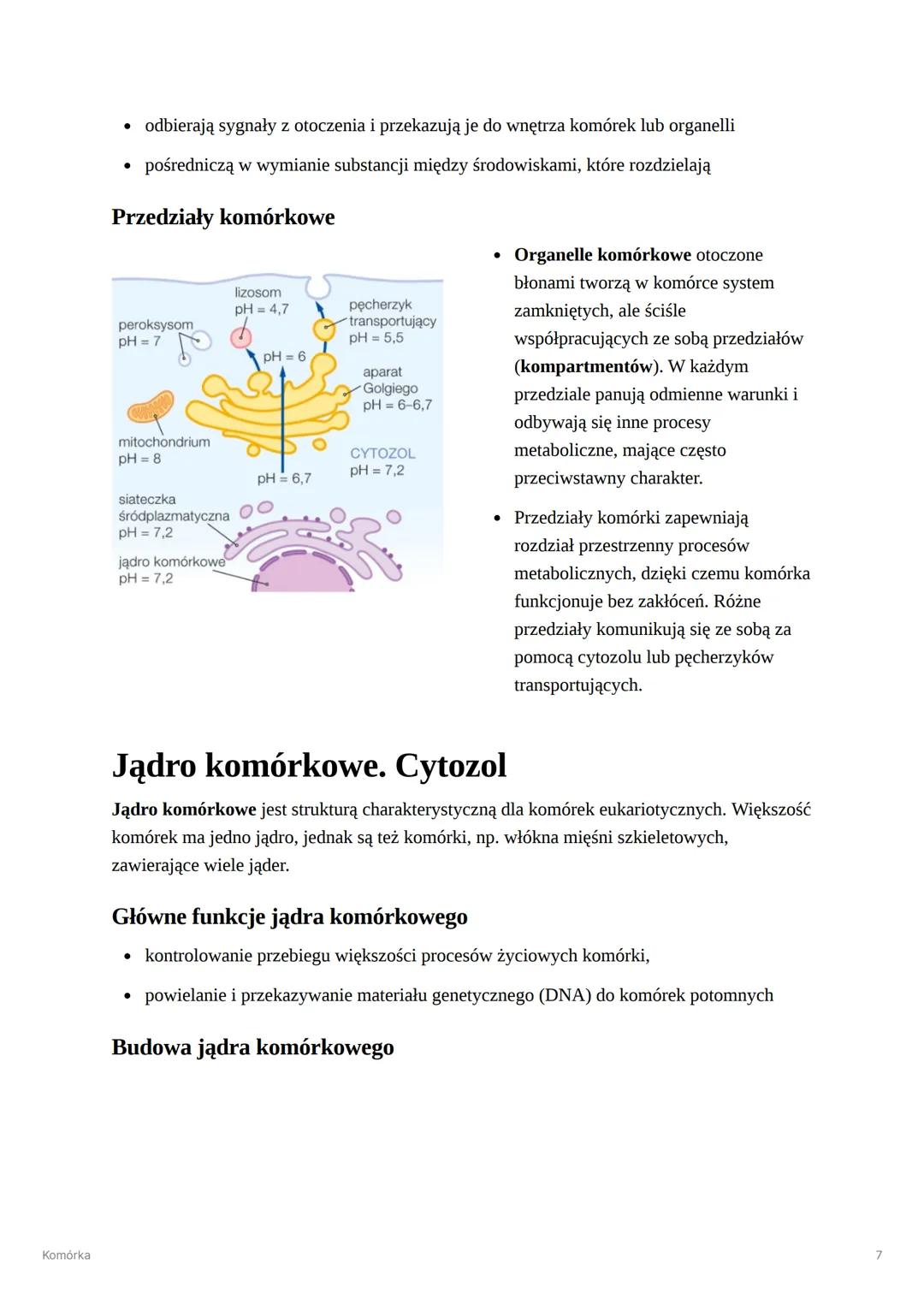 --- OCR Start ---
Komórka
Komórka
Komórka - najmniejsza część organizmu zdolna do przeprowadzania czynności życiowych
Poziomy organizacji ko