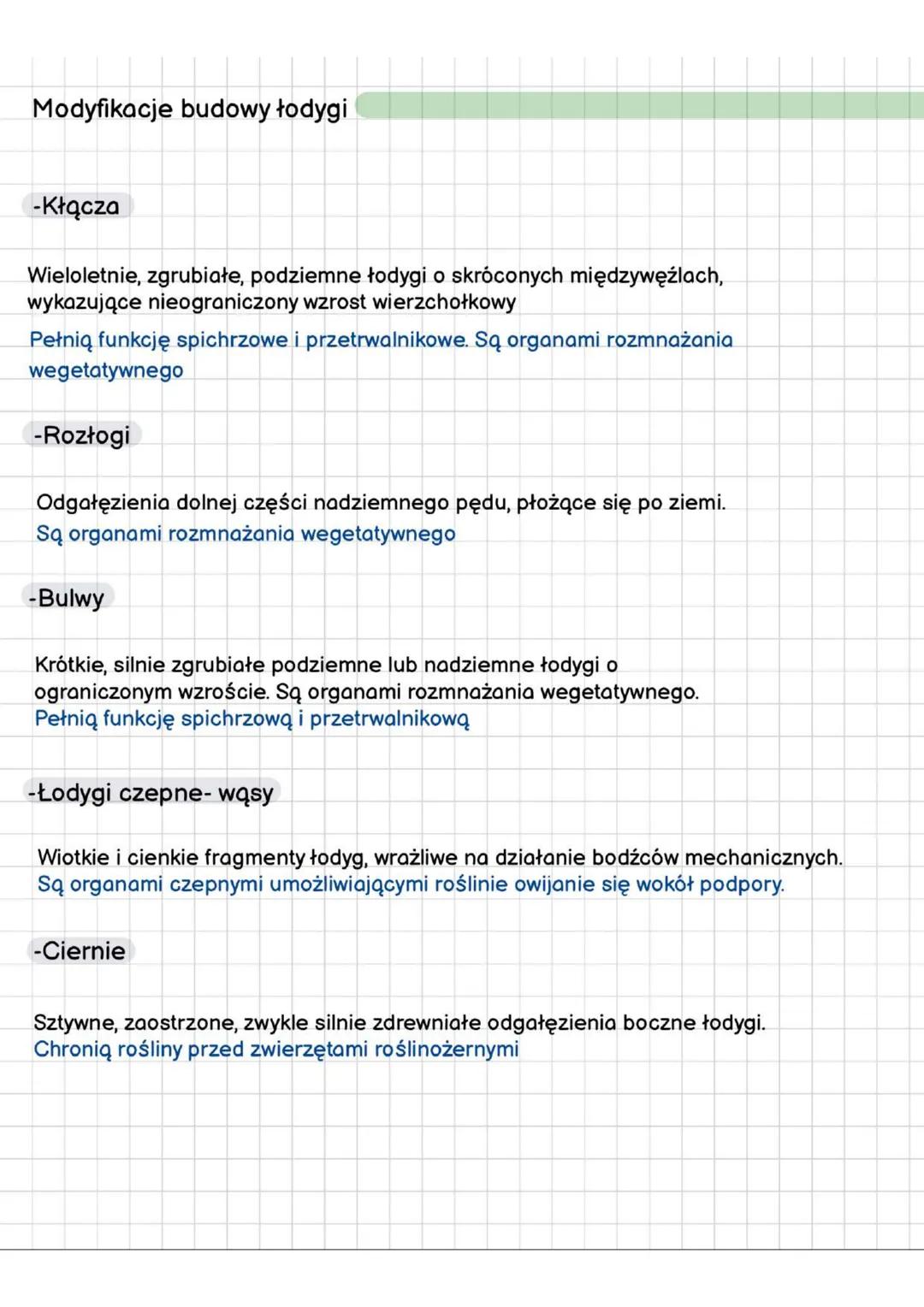 --- OCR Start ---
Łodyga
Pęd: nadziemna część rośliny (łodyga + liść + owoce)
Funkcje łodygi:
1.Miejsce osadzenia liści
2.Utrzymanie rośliny