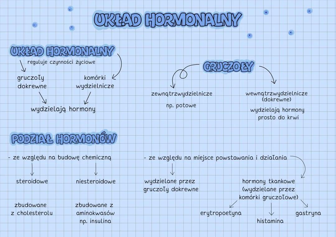 Układ hormonalny (hormony)