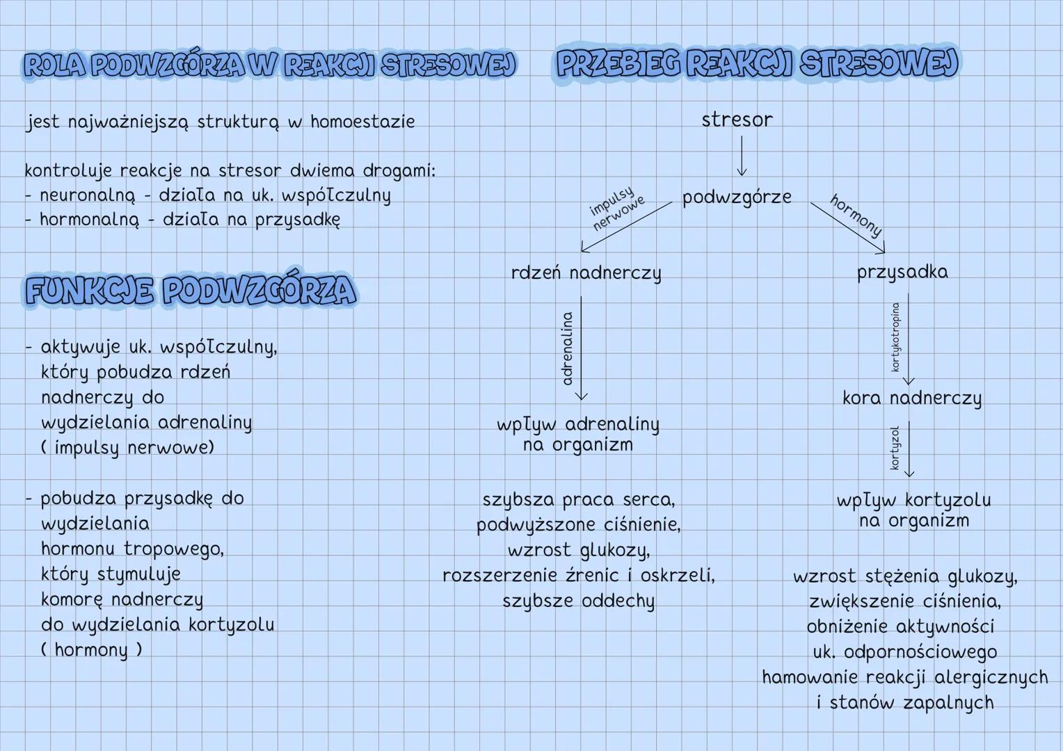--- OCR Start ---
UKŁAD HORMONALNY
UKŁAD HORMONALNY
↓
reguluje czynności życiowe
gruczoły
dokrewne
↘
komórki
wydzielnicze
wydzielają hormony
