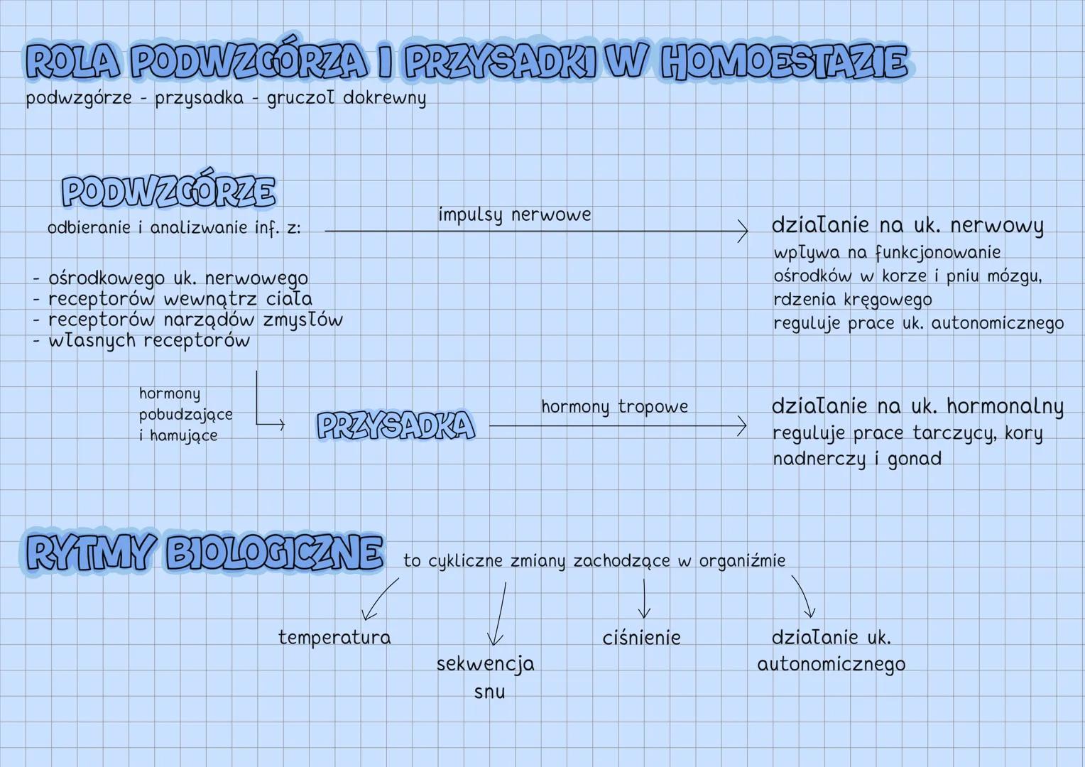 --- OCR Start ---
UKŁAD HORMONALNY
UKŁAD HORMONALNY
↓
reguluje czynności życiowe
gruczoły
dokrewne
↘
komórki
wydzielnicze
wydzielają hormony