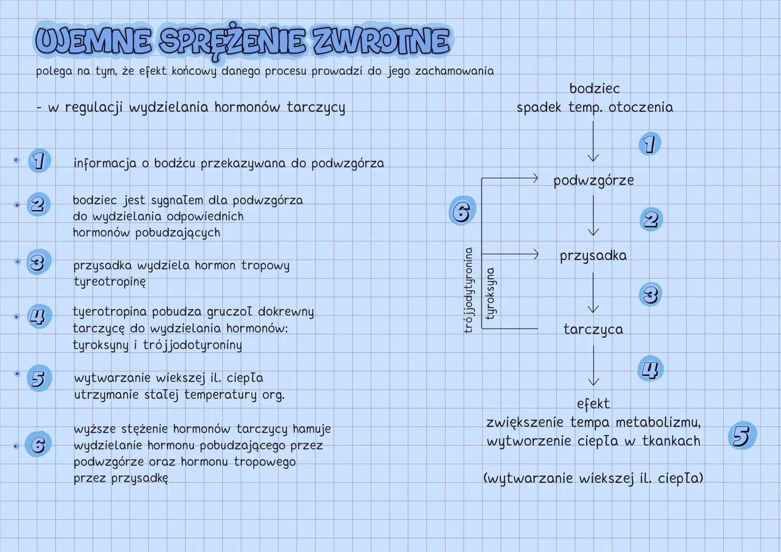 --- OCR Start ---
UKŁAD HORMONALNY
UKŁAD HORMONALNY
↓
reguluje czynności życiowe
gruczoły
dokrewne
↘
komórki
wydzielnicze
wydzielają hormony