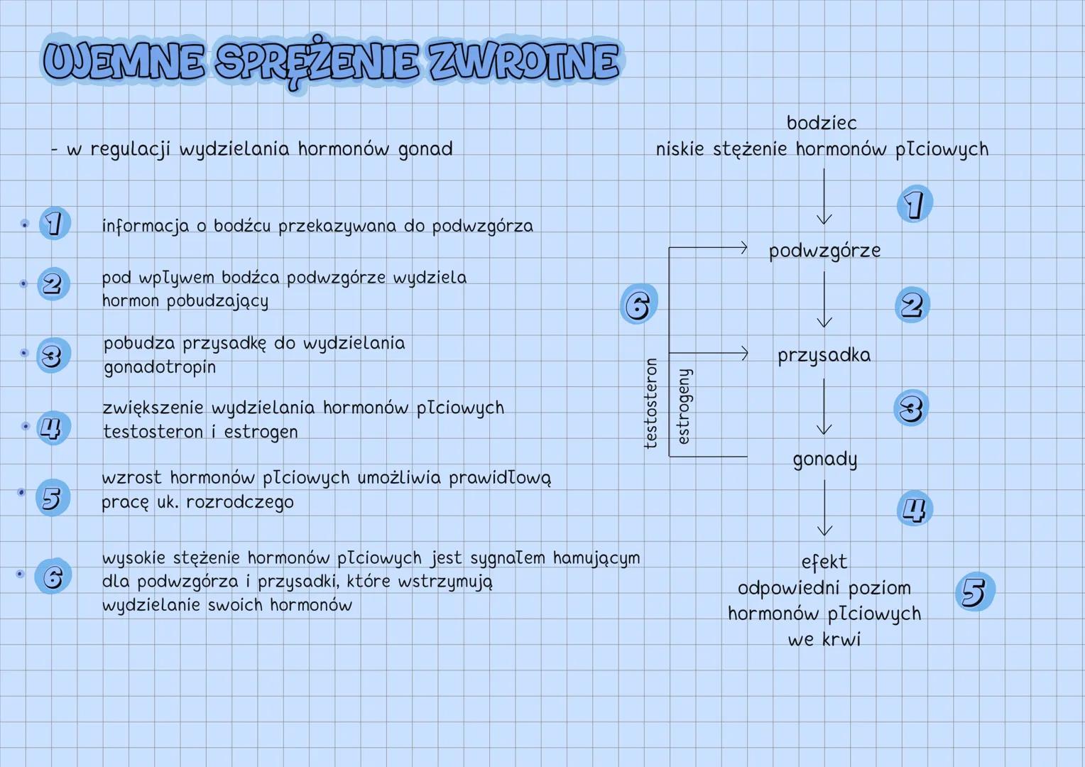 --- OCR Start ---
UKŁAD HORMONALNY
UKŁAD HORMONALNY
↓
reguluje czynności życiowe
gruczoły
dokrewne
↘
komórki
wydzielnicze
wydzielają hormony